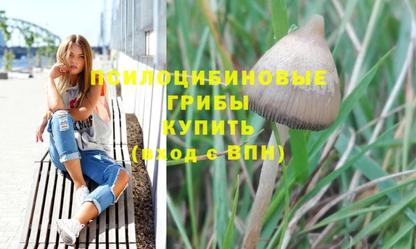 кокс Алексеевка