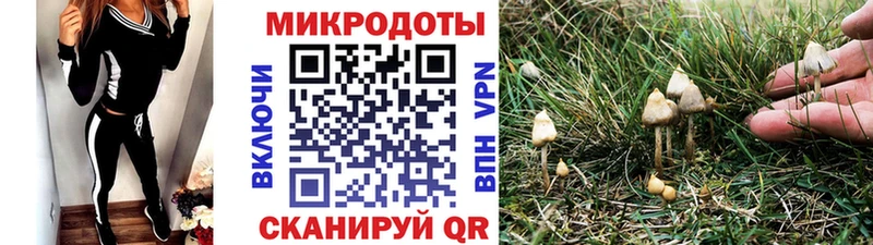 Псилоцибиновые грибы мухоморы  darknet какой сайт  Усть-Лабинск 